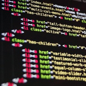 html raw code