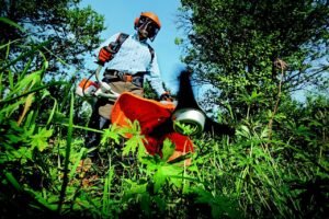 garden, grass cutter, gardening, grass, nature, man, outdoors, person, tools, gardener, green grass